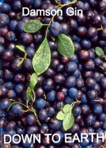 Down To Earth Damson Gin