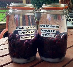 Down To Earth Damson Gin