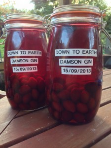 Damson Gin