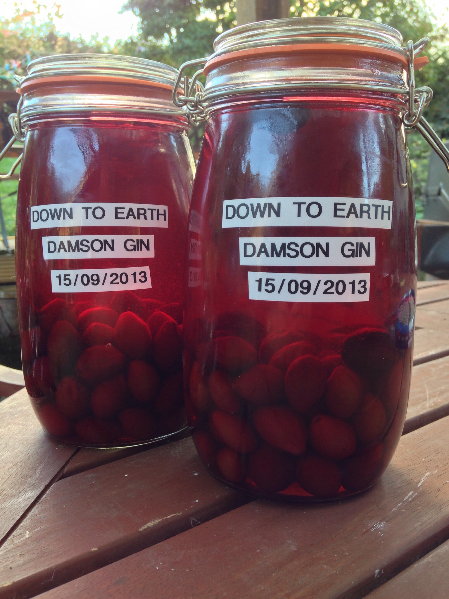 Best Easy Damson Gin Recipe Down To Earth Foods Greengrocer