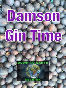 Best Damson Gin Recipe