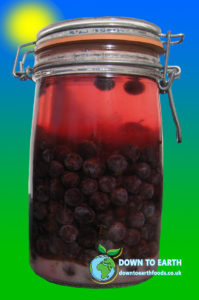 kilner-jar-sloe-gin